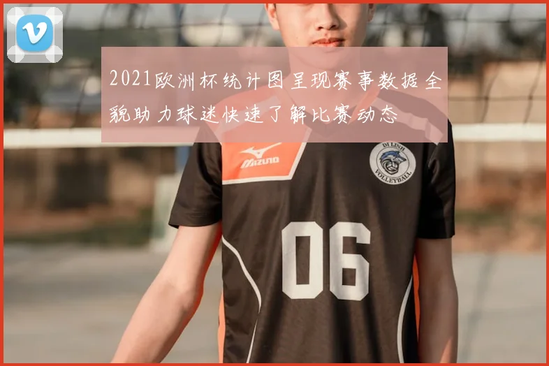 2021欧洲杯统计图呈现赛事数据全貌助力球迷快速了解比赛动态