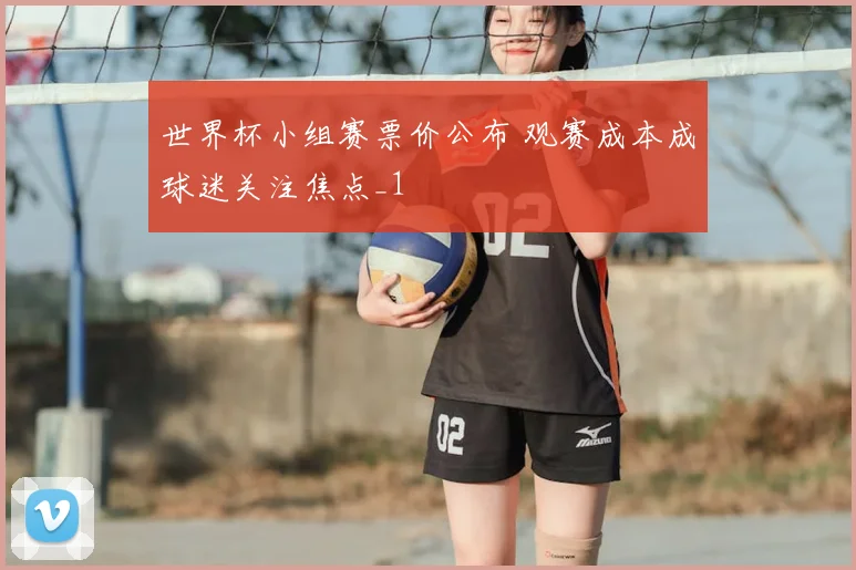 世界杯小组赛票价公布 观赛成本成球迷关注焦点_1