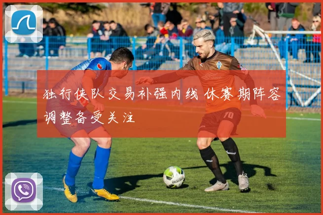 独行侠队交易补强内线 休赛期阵容调整备受关注